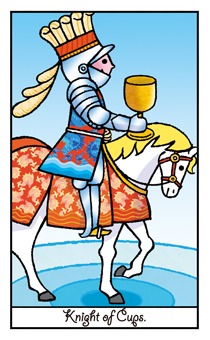 カップ・ナイト